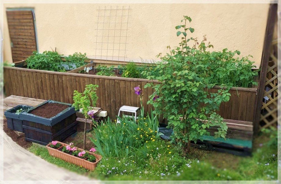 Gem�sehochbeet Einfamilienhaus Duisburg
