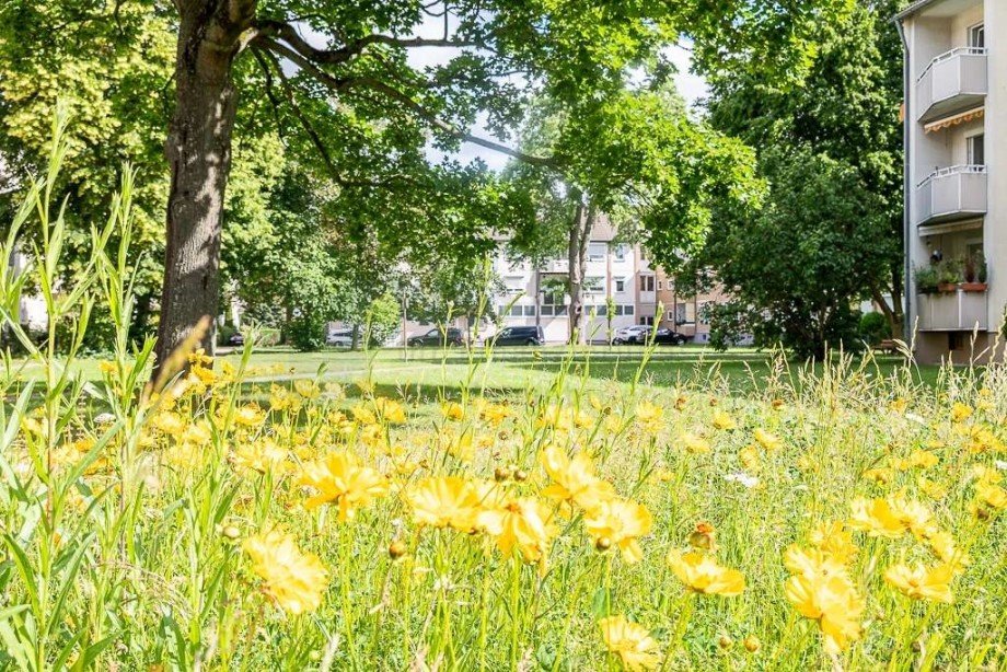 Au�enanlage R�ckseite Etagenwohnung D�sseldorf
