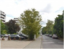 Zufahrt Vom Haus in die Wohnung: 2-Zi.-ETW f�r jedes Alter + Garage + zentral in Lintorf