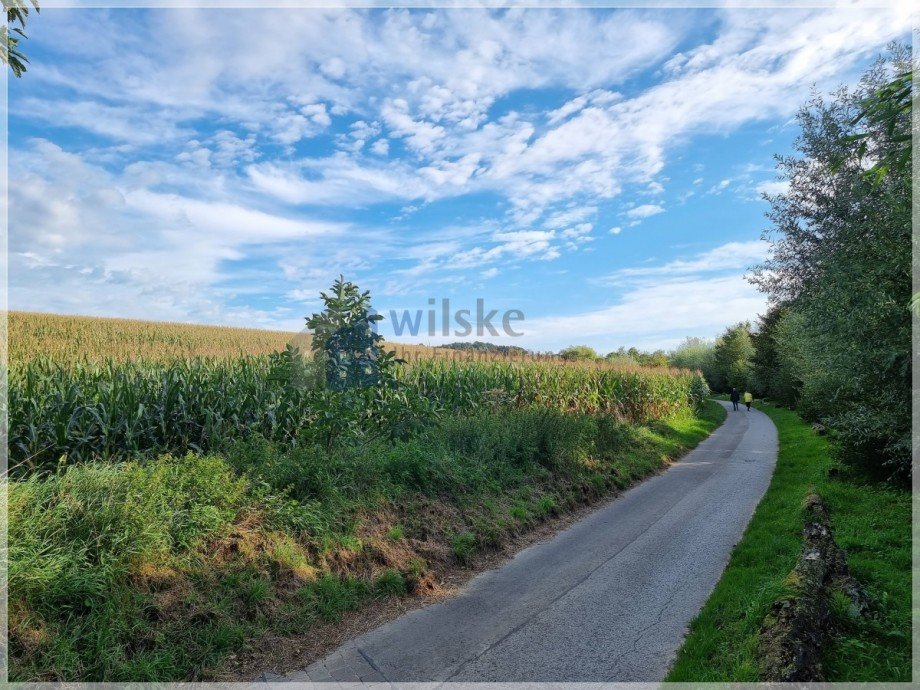 Umgebung Wanderwege Etagenwohnung Ratingen