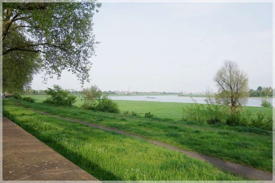 Rheinufer Blick Ddorf Etagenwohnung D�sseldorf Heerdt